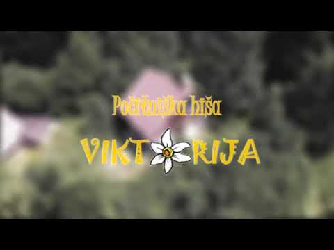 Video realizado por la propiedad
