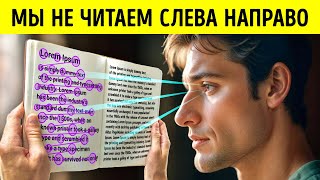 Удивительные факты о человеческом теле, о которых вы никогда не слышали