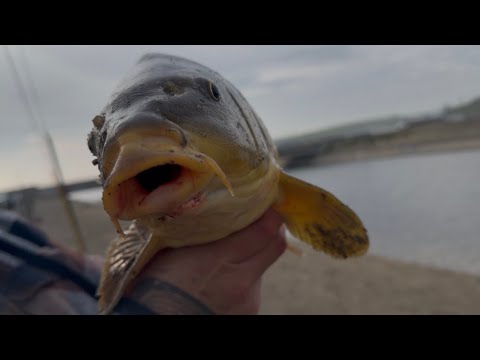Carlos Orellana Catches A Carp In The Rain and almost falls in the water