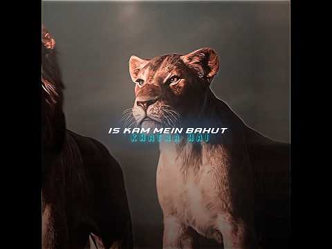 "Simba Ka Faisla: Akela Ya Saath Mein"part#1#SimbaKaFaisla #Simba#EmotionalScene #Dosti #Wafa