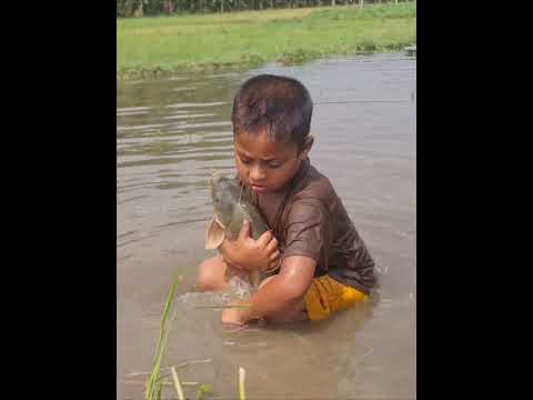 Amazing Boy Catching Fish By Hand