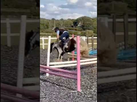 WEEE #horse #equestrianjourney