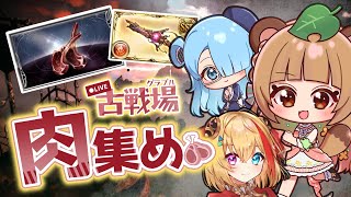 【#グラブル】急遽！仲良し団長＆副団長で飲酒しながら、ダラダラ肉集め【#vtuber #ちむたぬき】