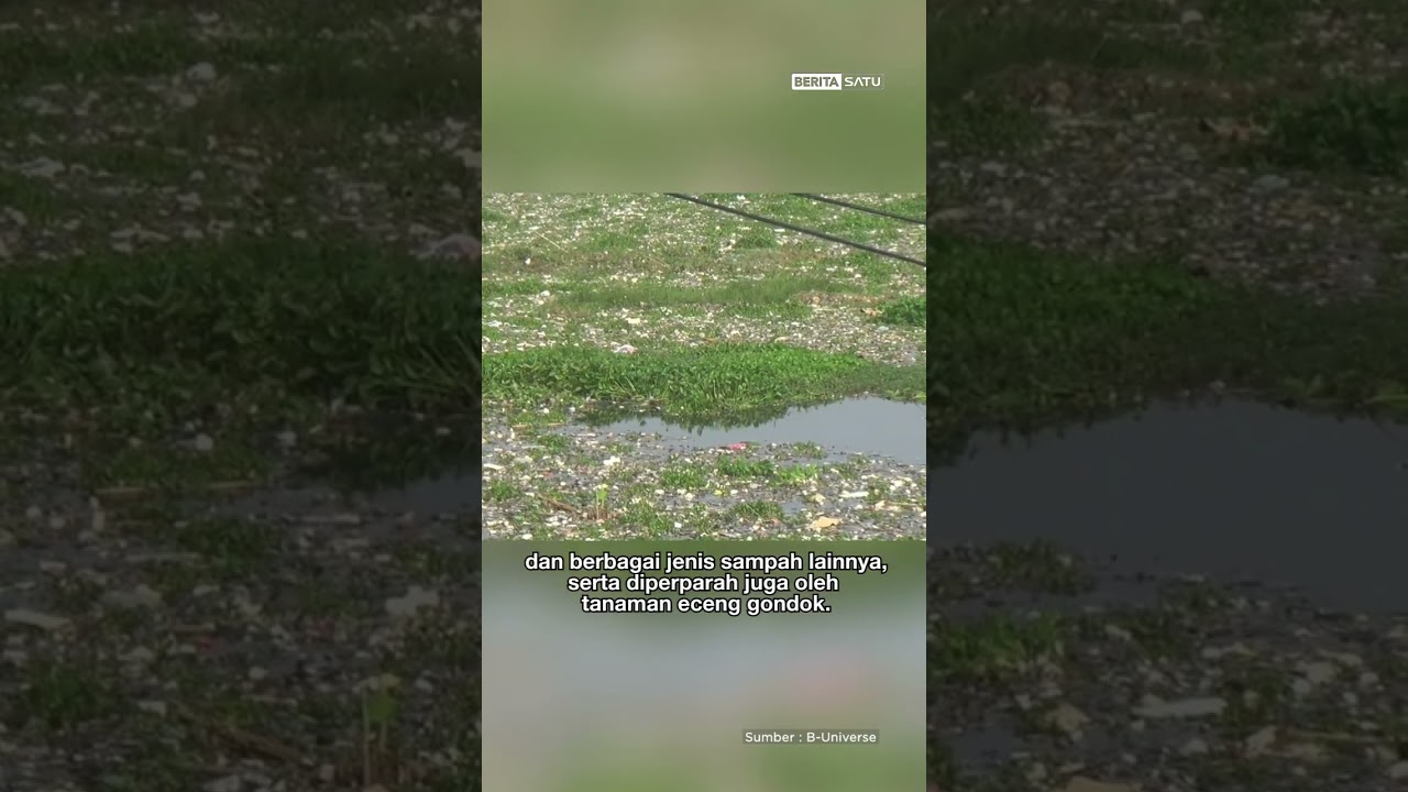 Sempat Bersih, Sungai Citarum Kembali Diselimuti Sampah