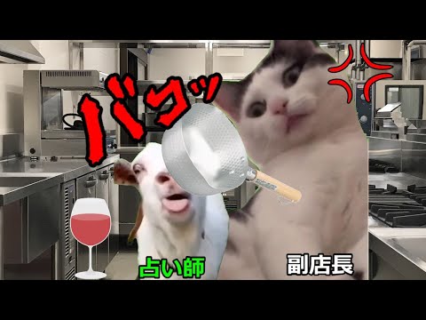 【猫ミーム】自分磨きをする占い師！！