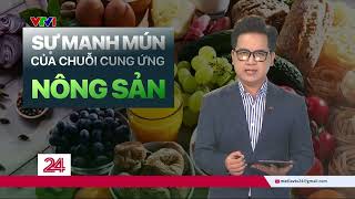 TIÊU ĐIỂM: Đi tìm nguồn gốc thực phẩm | VTV24