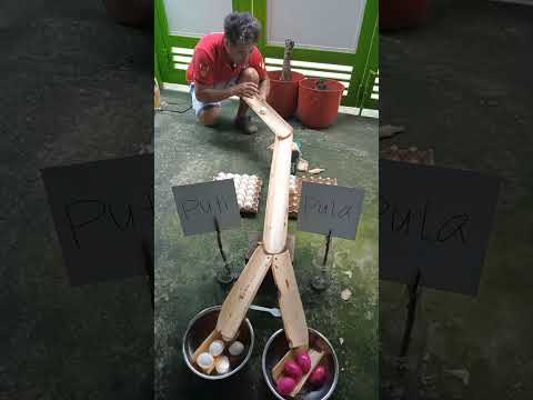 Alam talaga nila kong saan mga kasama nila #video #trending #funny #ftp #viral