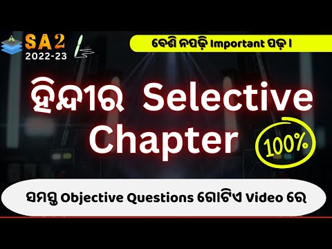 SA 2 TLH HINDI | MOST IMPORTANT | ALL OBJECTIVES QUESTIONS DISCUSSED |