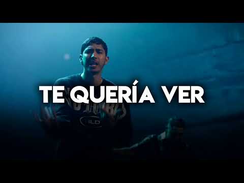 Te Queria Ver, Loco, Mi Vida Mi Muerte - Neton Vega Mix