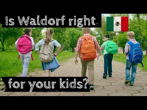 Choosing the BEST schools in MEXICO Pt 2 🇲🇽