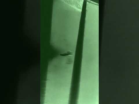 bhago bhoot a Gaya#ghost short video