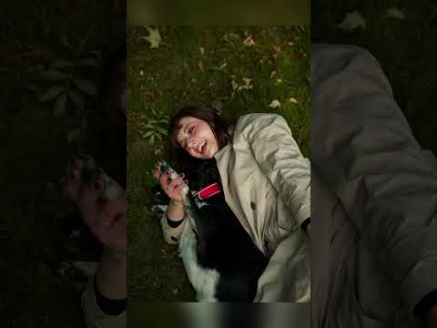 Ну краса 🐶🤎🌿🍂 #фотограф #фотографнімеччина #fotograf