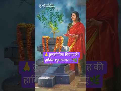 जय हो तुलसी मैया ☝🙏🌿 #latest#trending #video