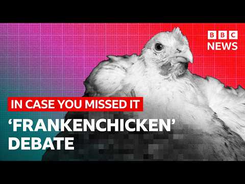Animal welfare vs sustainability - the ‘Frankenchicken’ debate explained | In Case You Missed It