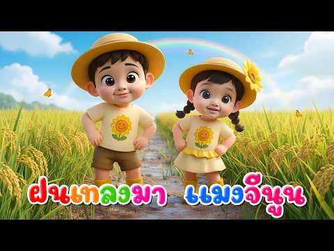 เพลงฝนเทลงมา แมงจีนูน  l เวอร์ชั่นน้องพราว เดอะคิดส์ซอง 2569 | The Kids Song
