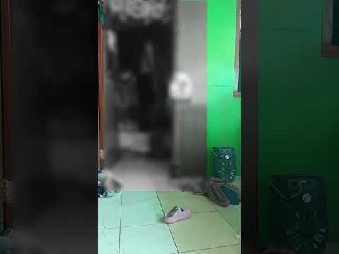 PEMUDA DI CAMPAKASARI PURWAKARTA DITEMUKAN TAK B3RNY4W4