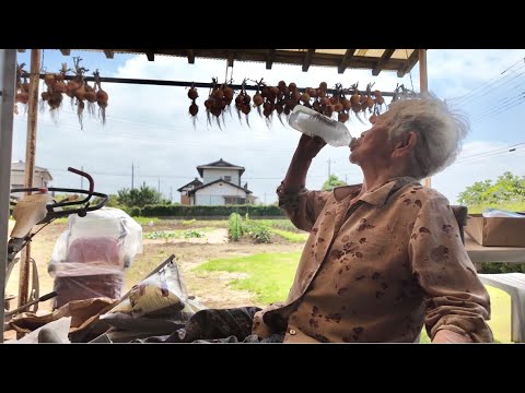 【70歳差】曽祖母(96)とひ孫(26)思ったことは正直に!