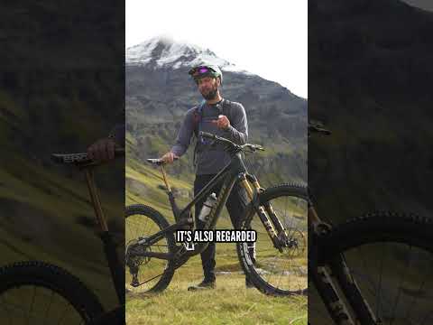 🚨 We Tried To Ride Up A Massive Mountain 🚨