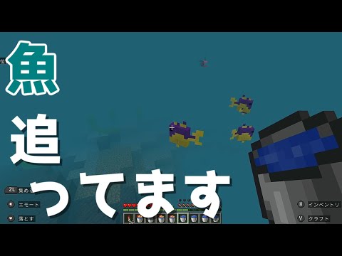 thumbnail_TOsb8YSOXQM