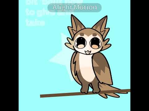 Meowl #tweening #meowl