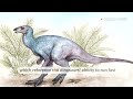Scientists discover new dinosaur in Argentina | REUTERS  - 00:58 min - News - Video
