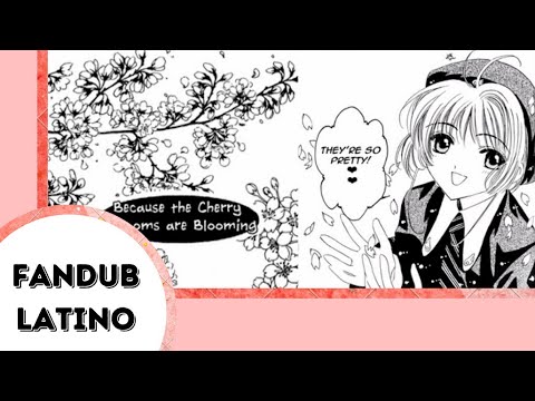 Las flores de cerezo (Sakura Cardcaptor Cómicdub Latino)