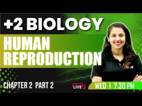 Plus Two Biology | Human Reproduction Part 2 | Chapter 2 | Exam Winner +2 | +2