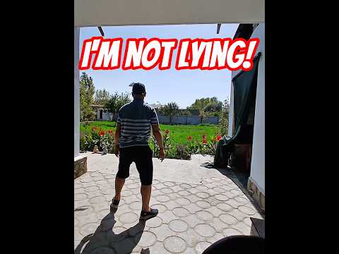 My Paper Plane Always Flies! #trollface