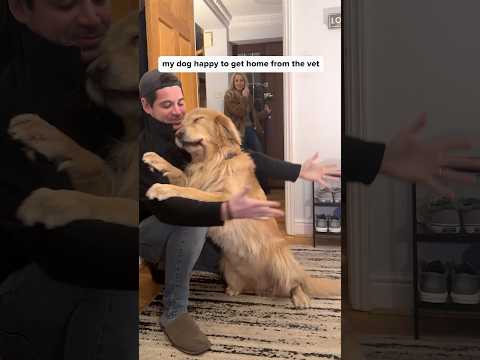 I’m never leaving you again, Gary. Ever.☺️ #goldenretriever #mansbestfriend #homesweethome