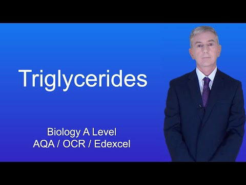 A Level Biology Revision "Triglycerides"