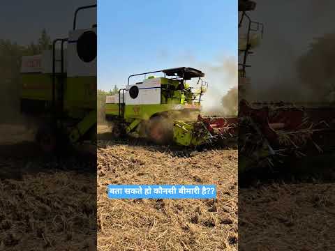 बता सकते हो ये कौनसी बीमारी है #kisankeliyswal #??? # kisan
