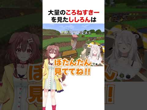 ５体のころねすきーに爆笑するししろん【ホロライブ】#shorts