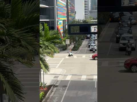The Only One Following the Rules in Miami 😂 #shorts #floridalife #travelshorts #brickell