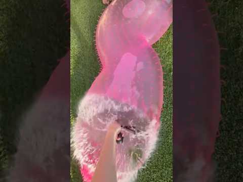 Pink Pickle FLOODED my garden.. #shorts