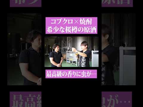 【第２０６回：小渕と黒田】 “桜樽の原酒”でコブクロオリジナル焼酎作ります！ 　#コブクロ