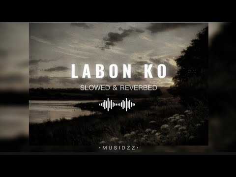 Labon ko (Slowed & Reverbed) @Musidzz 
