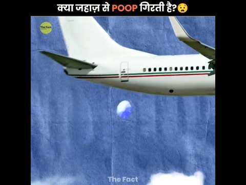 Frozen Toilet Falling From Sky? 💩