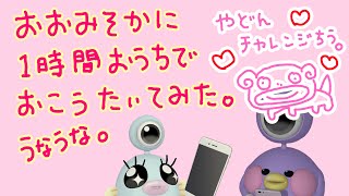 うなぎ のライブ配信