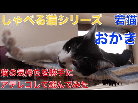 『しゃべる猫シリーズ』うちの一番若い猫の気持ちを聞いて見た。　元保護猫達のバタバタ日記  #喋る猫 #おかき #TalkingCats　#猫の気持ち
