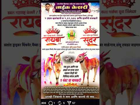 SPEED KING रायबा आणि AADAT KING सुंदर | प्रथम क्रमांकाचे मानकरी | #बकासुर #cow #baliraja #bailgada