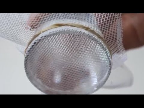 Mysterious Water Suspension - Cool Science Experiment - YouTube