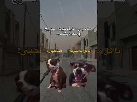 منشنو🤣🤣🤣. #الشعب_الصيني_ماله_حل #مالي_خلق_احط_هاشتاقات #حقيقة #shorts #explore