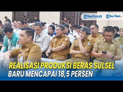 Produksi Beras Sulsel Baru 18,5 Persen