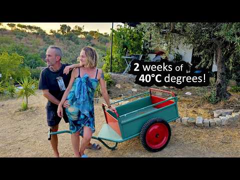 LEAVING our HOMESTEAD at the WRONG TIME? (OFF GRID Portugal)
