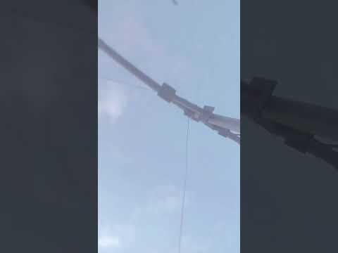 ट्रेंडिंग वीडियो