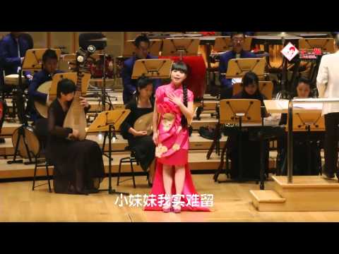 王二妮《新加坡演唱会》精简字幕版