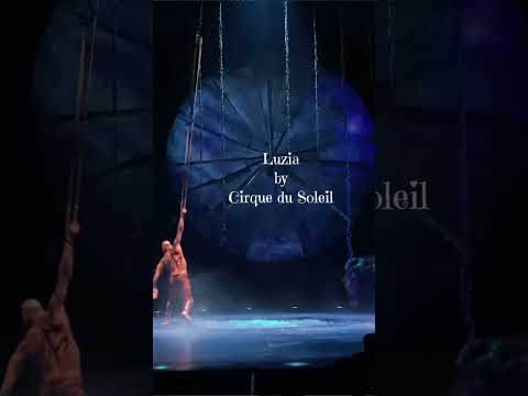 circus#dangerous #part 12