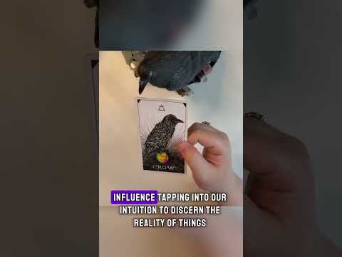 Taurus, get ready to receive! (July Snapshot)