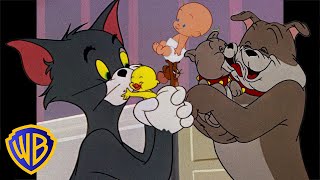 Tom a Jerry - Rodinn momenty