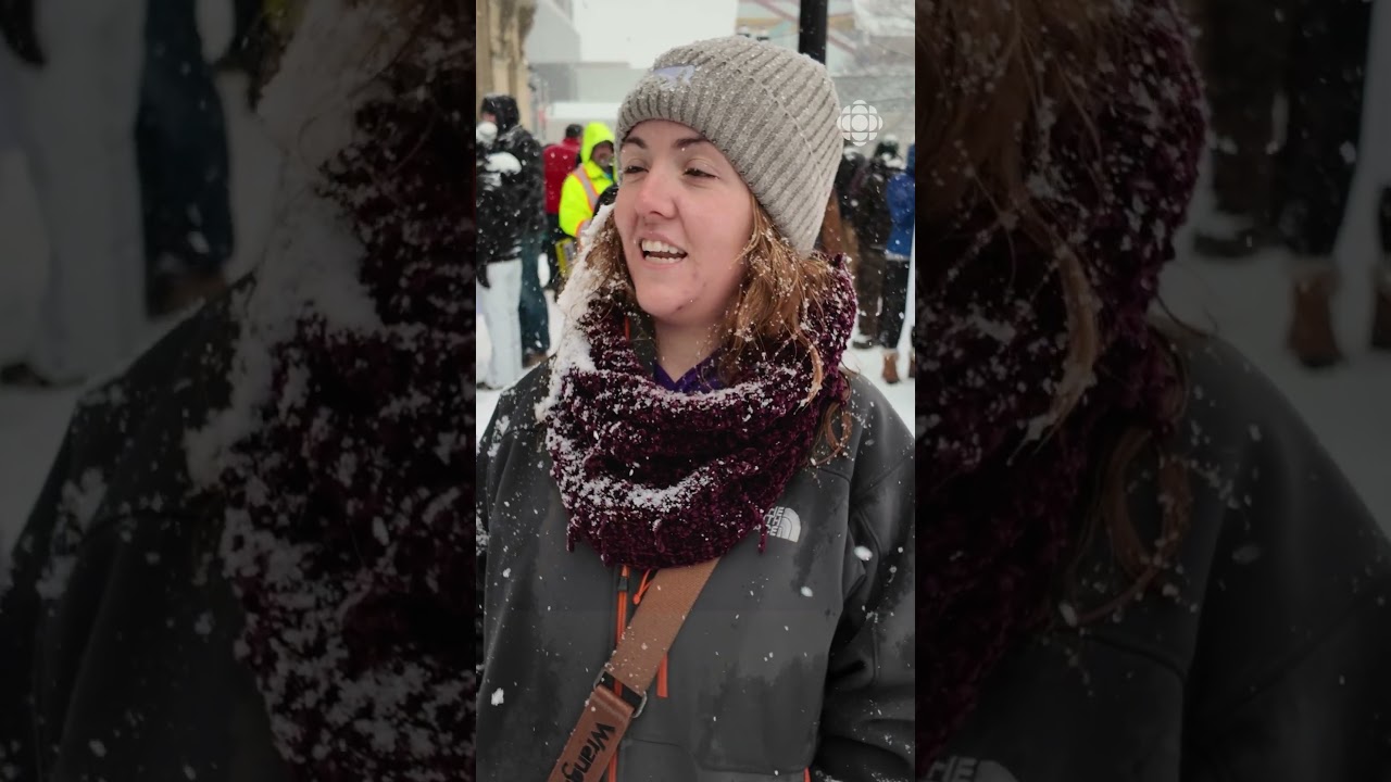 Manifestation contre la privatisation des services vétérinaires | Vidéojournal
